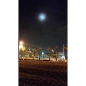 Tregua (Píldora Imperfecta Íntima)