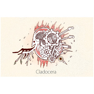 Cladocera (クラドセラ)