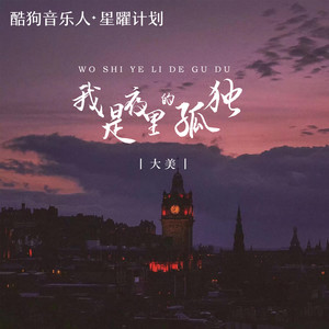 我是夜里的孤独