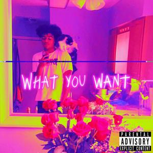 WHATYOUWANT? (Explicit)