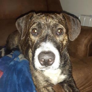 GIMME THE LOOT (Explicit)