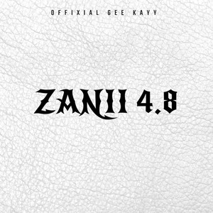 Zanii 4.8