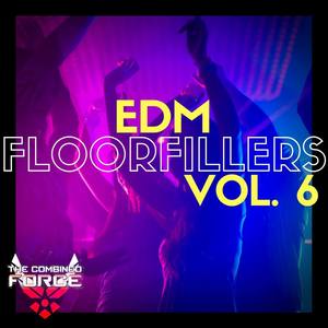 EDM FloorFillers Vol.6