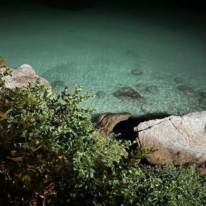 Night Lagoon
