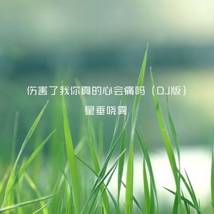 不愿放手 (DJ版)