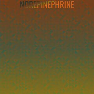 Norepinephrine