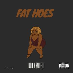 Fat Hoes (feat. Sweet T) [Explicit]