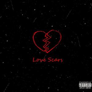 love scars (Explicit)