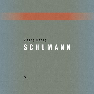 R. Schumann: Piano Works (Live)