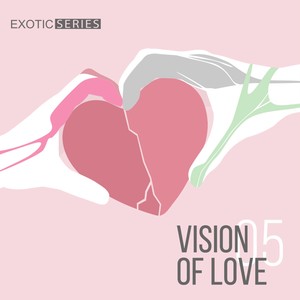 Vision of Love 5