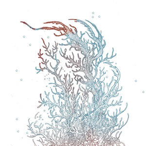 Running My Habits Clean