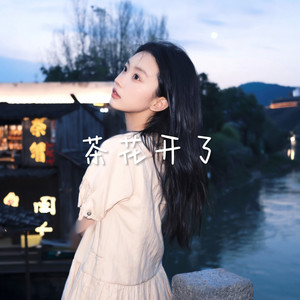 茶花开了-莉娅