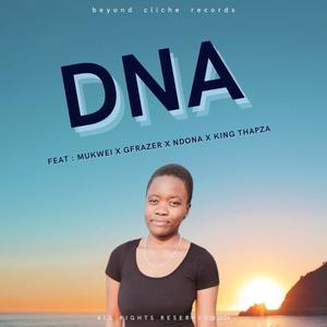 Mukwei x Ndona_DNA (feat. Gfrazer & King Thapza)