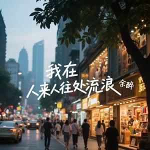 我在人来人往处流浪