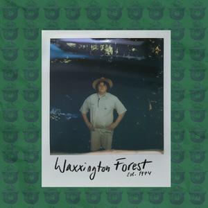 no CAMPING here / WAXXINGTON forest (feat. Tommy From Mars, goth m!lk & Rainbow Bear)