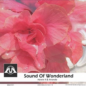 Sound Of Wonderland (Extended Mix)
