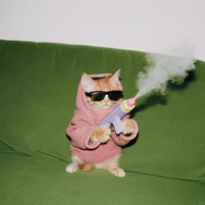 Vegas x Sexy Girl (Lak House)