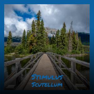 Stimulus Scutellum