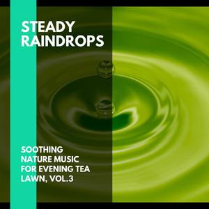 Steady Raindrops - Soothing Nature Music for Evening Tea Lawn, Vol.3