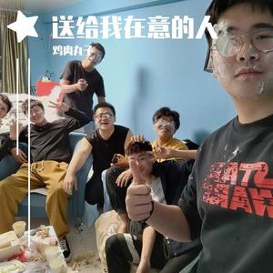 成都_FQJ-鸡肉丸子