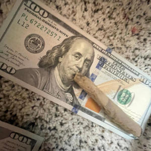 Go stupid (Explicit)