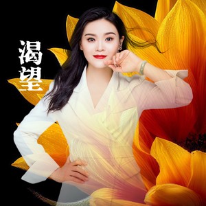 渴望 (DJ阿能版)