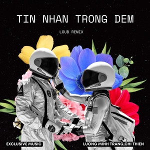 Tin Nhắn Trong Đêm (LouB Remix)