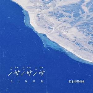 海海海 (DJ旋律版)