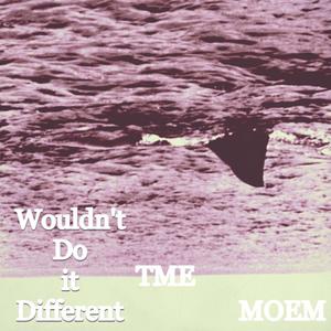 Wouldn't Do it Different (Explicit)