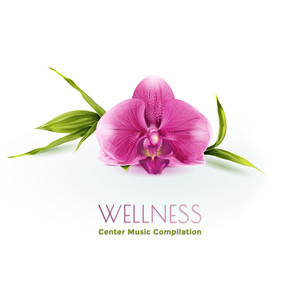 Wellness Center Music Compilation