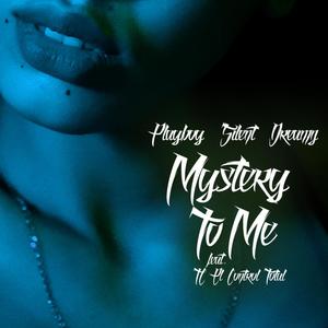 Mystery To Me (feat. TC El Control Total)