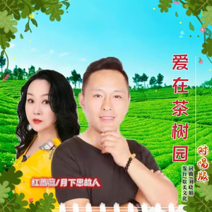 爱在茶树园 (对唱版)