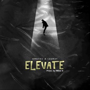 Elevate (feat. Lee-Roy) (Explicit)