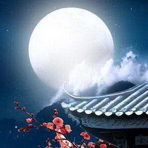 在银色月光下 (Demo)