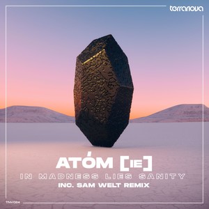 Atóm (IE) - In Madness Lies Sanity (Original Mix)