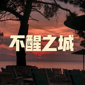 狐狸小姐 (空灵版)封面