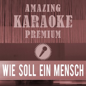 Wie soll ein Mensch das ertragen (Originally Performed By Philipp Poisel|Radio Edit|Premium Karaoke Version)