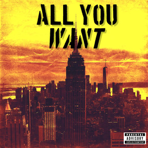 All You Want (Explicit)