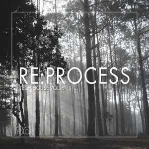 Re:Process (Tech House, Vol. 6)