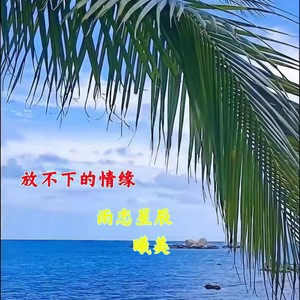放不下的情缘