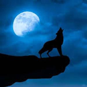 PM (feat. LilCandyPaint) (Explicit)