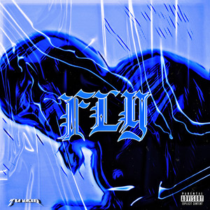 FLY (Explicit)