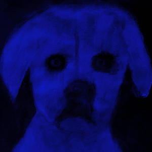 The Rules I Left Alone