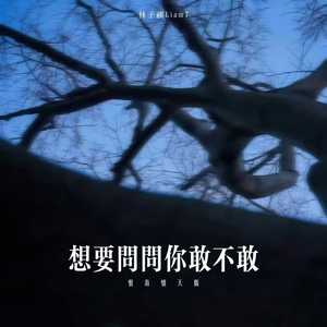 想要问问你敢不敢 (恨海情天版)
