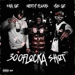 300FLOCKA SHOT (Explicit)