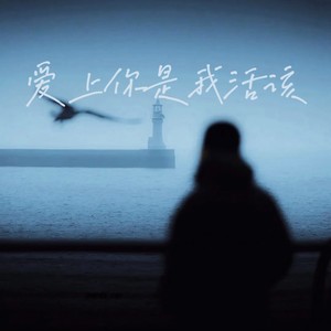 爱上你是我活该