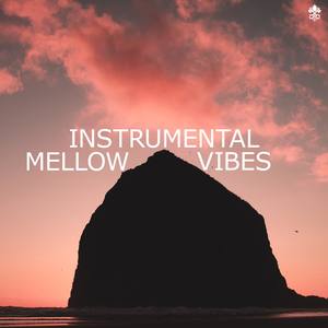 Instrumental Mellow Vibes