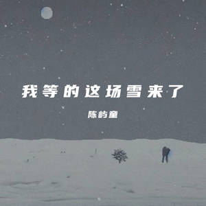 我等的这场雪来了