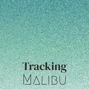 Tracking Malibu