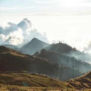 Murmures de Sérénité - Whispers of Serenity